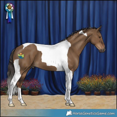 Horse Color:Gray Liver Red Dun Tobiano