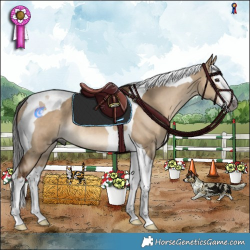 Horse Color:Gray Liver Red Dun Splash Tobiano Rabicano