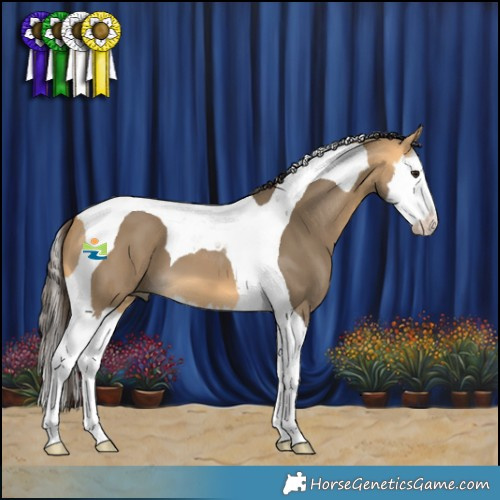 Horse Color:Buckskin Dun Splash Tobiano