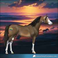 Horse Color:Gray White Spotted Buckskin Dun 