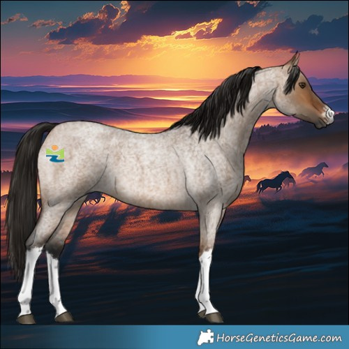 Horse Color:Gray White Spotted Bay Roan Dun