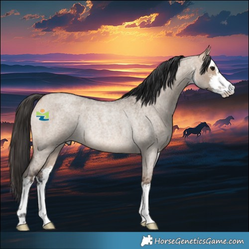 Horse Color:White Spotted Bay Roan Dun Rabicano