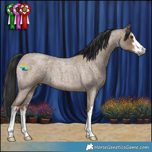 Horse Color:Gray White Spotted Liver Red Dun Roan 