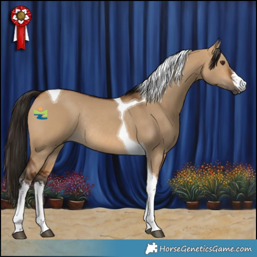 Horse Color:Gray White Spotted Bay Dun Tobiano Rabicano
