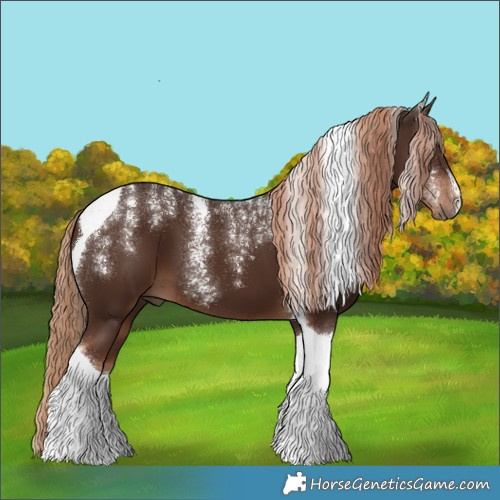Horse Color:Powder White Liver Chestnut Tobiano