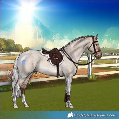 Horse Color:Silver Brown Roan Dun Tobiano Rabicano