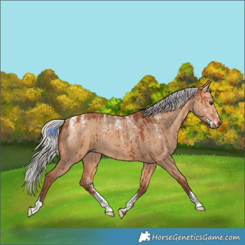 Horse Color:Powder White Silver Bay Dun Rabicano Brindle 