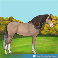 Horse Color:Amber Champagne Splash 