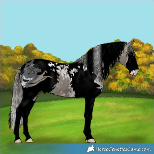 Horse Color:ERROR: UNKNOWN ANOMALY