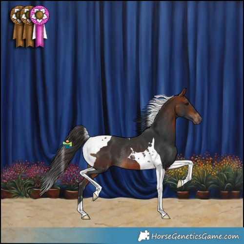 Horse Color:Bay Tobiano Rabicano