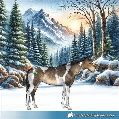 Horse Color:Buckskin Tobiano Rabicano