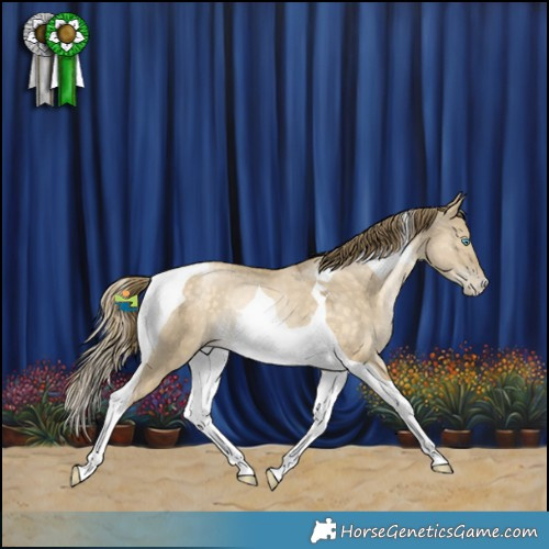 Horse Color:Buckskin Snowdrop Dun Tobiano Rabicano 