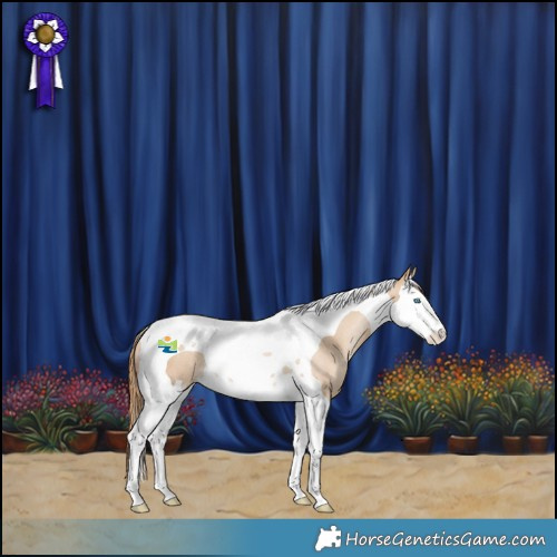 Horse Color:Smoky Black Pearl Splash Tobiano Rabicano