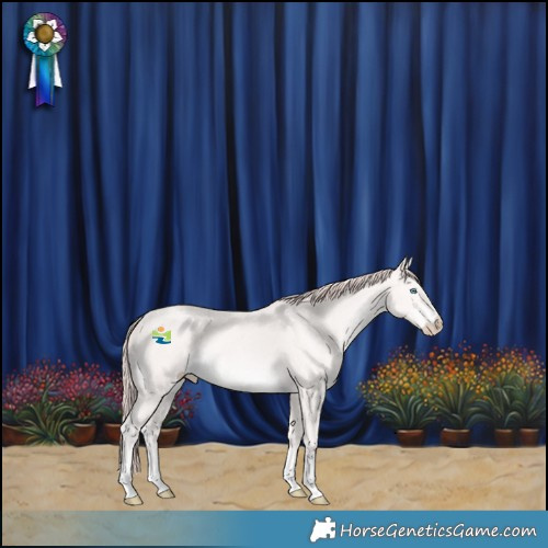 Horse Color:Perlino