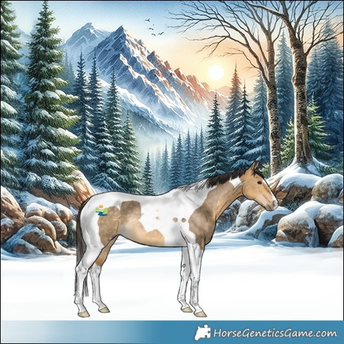 Horse Color:Buckskin Dun Tobiano Rabicano