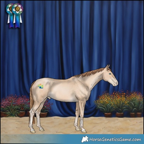 Horse Color:Buckskin Pearl