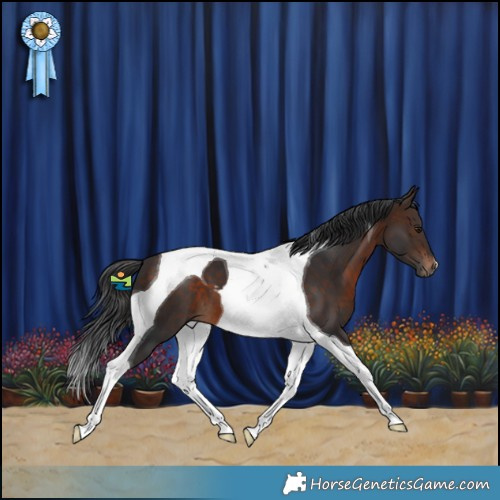 Horse Color:Bay Tobiano