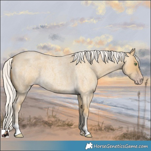 Horse Color:Silver Classic Cream Champagne Roan 