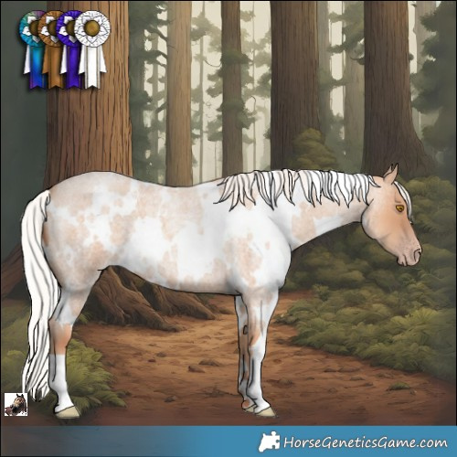 Horse Color:White Spotted Silver Classic Champagne Roan