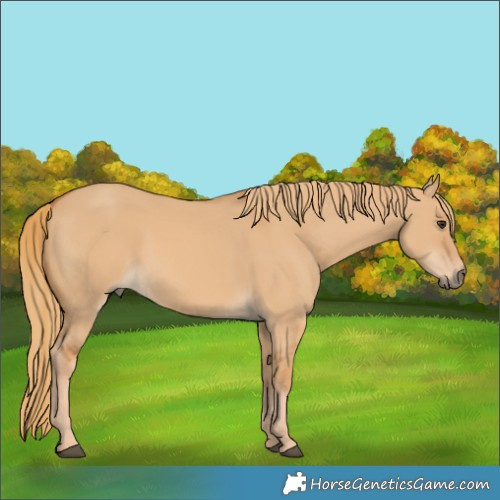 Horse Color:Red Dun 