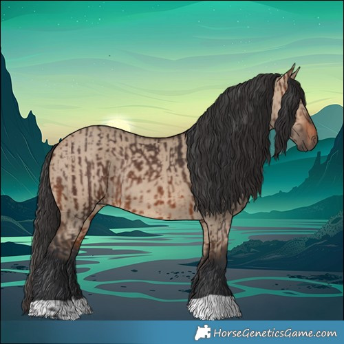 Horse Color:Brown Rabicano and Brown Dun Rabicano