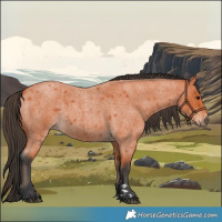 Horse Color:Bay Roan 
