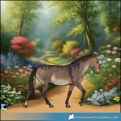 Horse Color:Bay Dun 