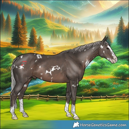 Horse Color:White Spotted Silver Black Splash