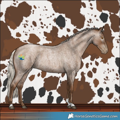 Horse Color:Gray Silver Blue Roan Pearl Tobiano 