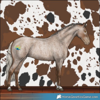 Horse Color:Gray Silver Blue Roan Pearl Tobiano