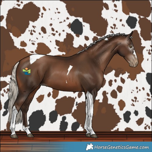 Horse Color:Gray Silver Brown Pearl Tobiano 