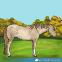 Horse Color:Brown Tobiano Rabicano 
