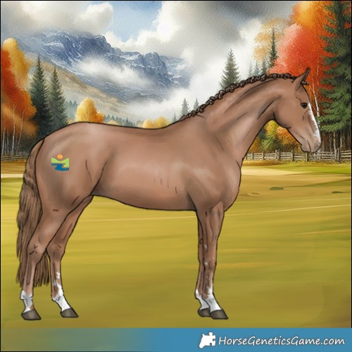 Horse Color:Black Pearl 