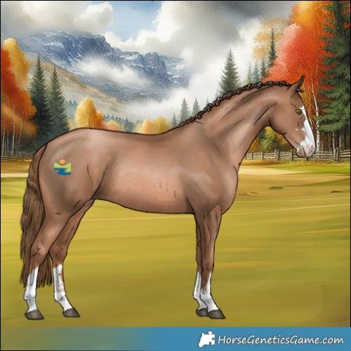 Horse Color:Liver Chestnut Pearl Rabicano