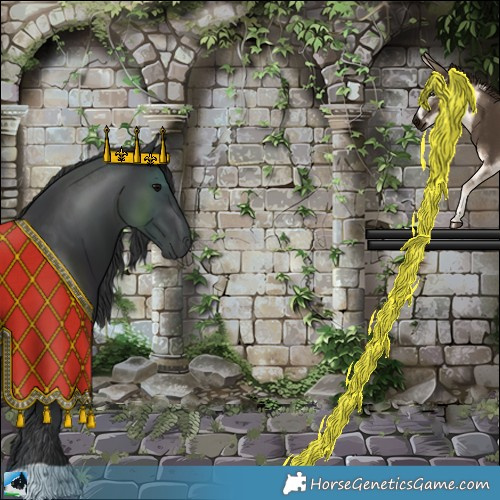 Horse Color:Platinum Black Rabicano