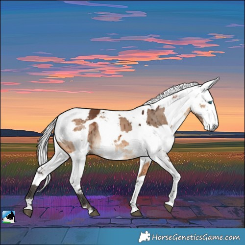Horse Color:Bay Dun Harlequin Merle Brindle 