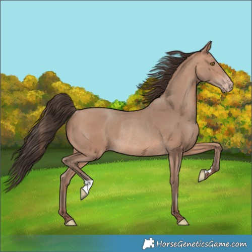 Horse Color:Sable Champagne Rabicano