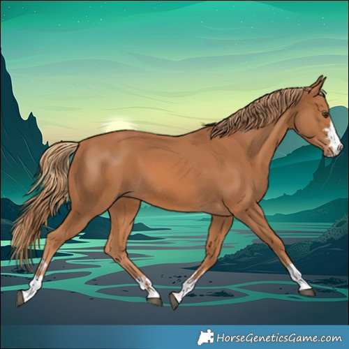 Horse Color:Chestnut  and Chestnut 