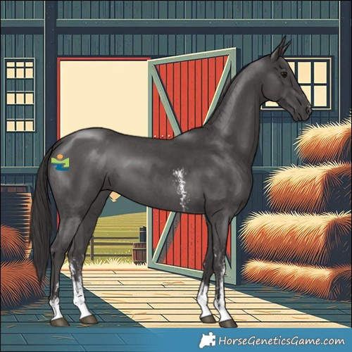 Horse Color:Smoky Black Sabino
