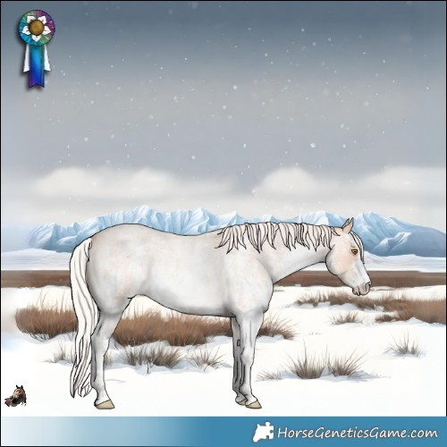 Horse Color:Silver Classic Champagne Roan Sabino Rabicano 