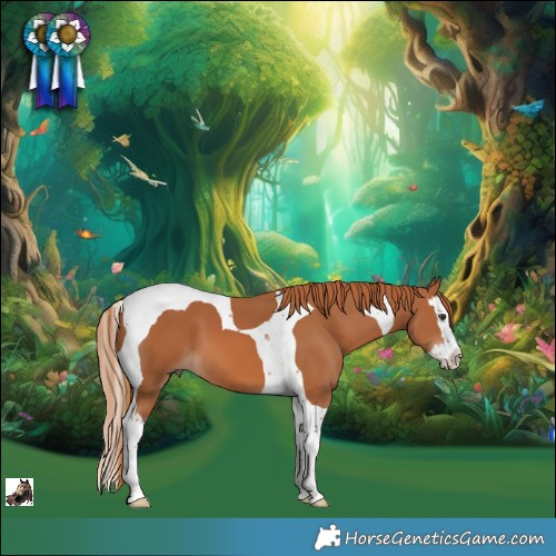 Horse Color:Chestnut Splash Tobiano 