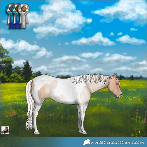 Horse Color:Silver Classic Champagne Roan Tobiano