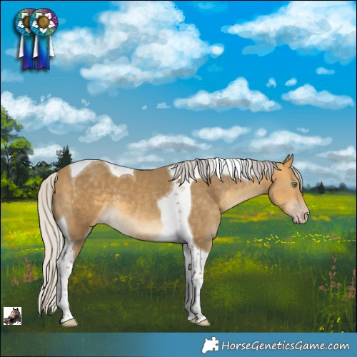 Horse Color:Silver Sable Cream Champagne Tobiano