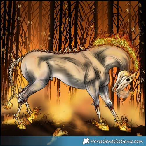 Horse Color:Palomino Onyx