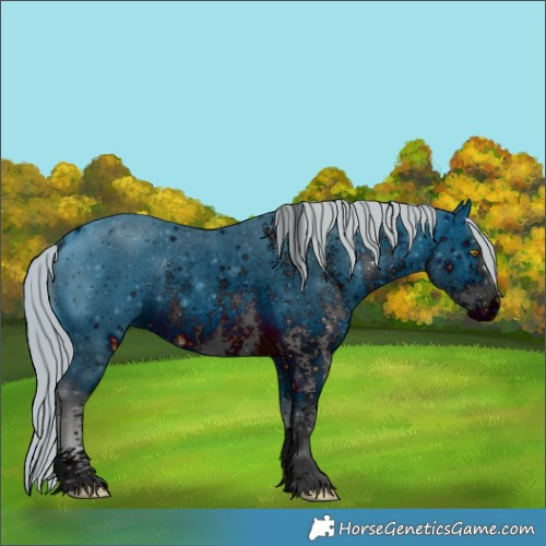 Horse Color:ERROR: UNKNOWN ANOMALY
