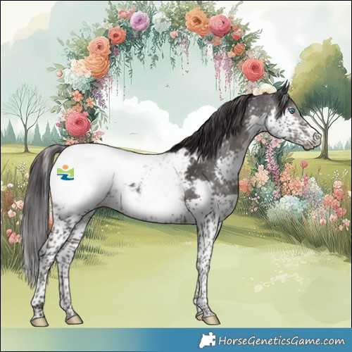 Horse Color:Smoky Black Splash Tobiano Snowcap 