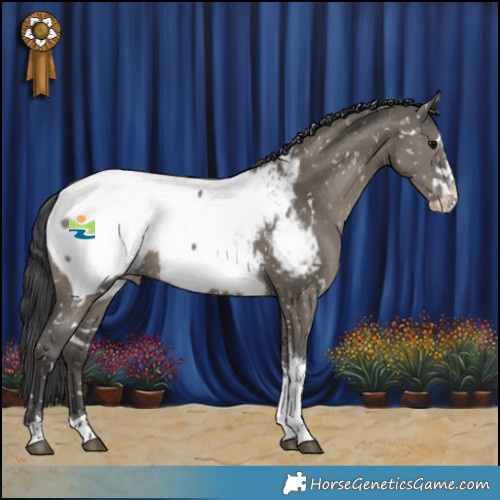 Horse Color:White Spotted Grullo Mushroom Splash Tobiano Appaloosa Rabicano