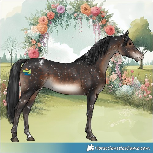 Horse Color:Brown Snowflake VarnishRabicano