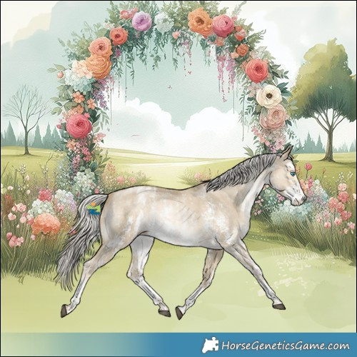 Horse Color:Silver Smoky Grullo Snowdrop Sabino Snowflake Varnish Rabicano 