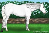 Horse Color:Silver Classic Cream Champagne Dun Splash Varnish 
